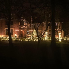 Christmas Lights 8